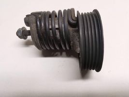 Audi A4 S4 B5 8D Napinacz paska wielorowkowego / Alternatora 