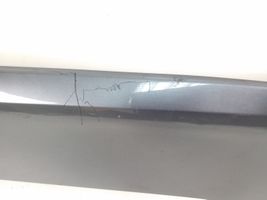 Hyundai Santa Fe Rear door trim (molding) 8773126500