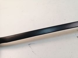 Audi A6 Allroad C5 Front door glass trim molding 