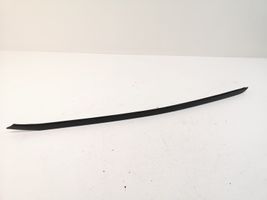 Audi A6 Allroad C5 Front door glass trim molding 