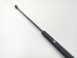 Audi A6 Allroad C5 Engine bonnet/hood prop rod/strut 