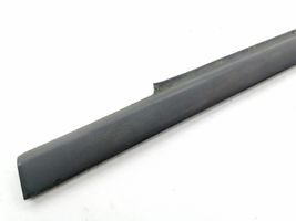 Mercedes-Benz A W169 Rear door glass trim molding 