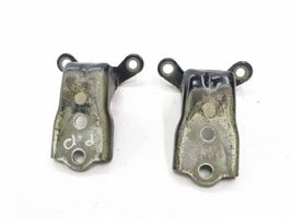 Chevrolet Captiva Front door hinge set 