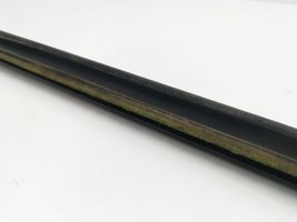 Chrysler 300 - 300C Front door glass trim molding 