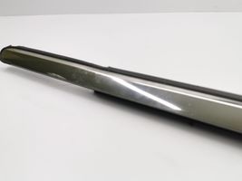 Chrysler 300 - 300C Front door glass trim molding 