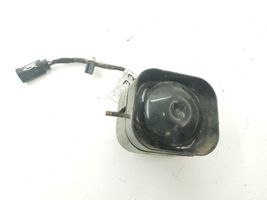 Opel Antara Allarme antifurto F0619538