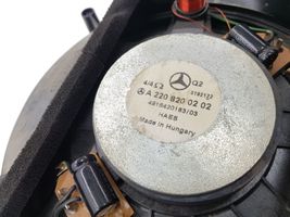 Mercedes-Benz S W220 Subwoofer altoparlante A2208200202