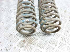 Volkswagen New Beetle Rear coil spring 