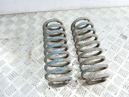 Volkswagen New Beetle Rear coil spring 