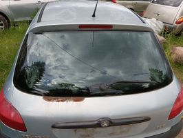 Peugeot 206 Aizmugurējais stikls 