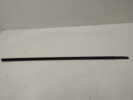 BMW X5 E53 Front door glass trim molding 