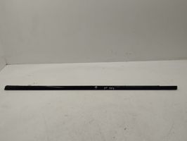 BMW X5 E53 Front door glass trim molding 