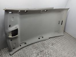 Mercedes-Benz B W245 Headlining A1696901550