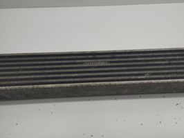 Mercedes-Benz B W245 Radiatore intercooler A1695000000