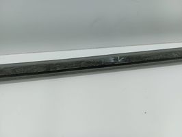 Ford C-MAX II Front door glass trim molding 9687379677