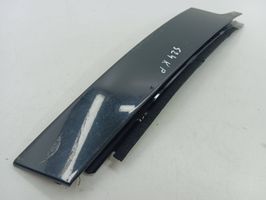 Volvo S60 Rivestimento modanatura del vetro della portiera anteriore 30753999