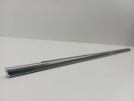 Volvo S60 Rear door glass trim molding 