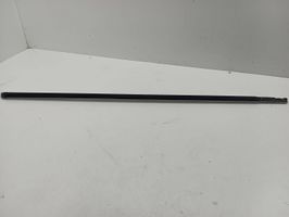 Volvo S60 Front door glass trim molding 