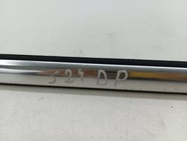 Volvo S60 Front door glass trim molding 