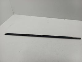 Volvo S60 Front door glass trim molding 