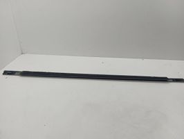 Chrysler Voyager Front door glass trim molding 