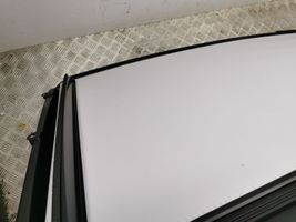 Lexus NX Schiebedach / Panoramadach komplett 
