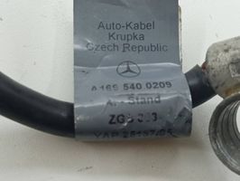 Mercedes-Benz B W245 Cablaggi (motorino d’avviamento) A1695400209