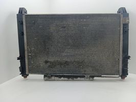 Mercedes-Benz B W245 Radiateur de refroidissement A1695001304