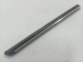 Mercedes-Benz B W245 Rear door glass trim molding A1696730683