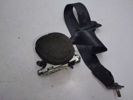 Volvo S60 Rear seatbelt P039813789