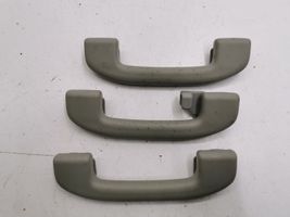 Nissan X-Trail T31 Un set di maniglie per il soffitto 