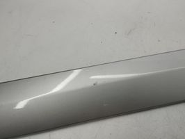 Mercedes-Benz C W203 Rivestimento portiera posteriore (modanatura) 2036902962