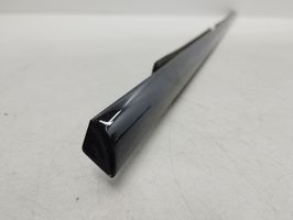 BMW X5 E53 Rear door glass trim molding 