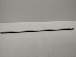 Volvo S60 Front door glass trim molding 