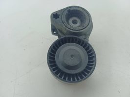 BMW X5 E53 Napinacz paska wielorowkowego / Alternatora 