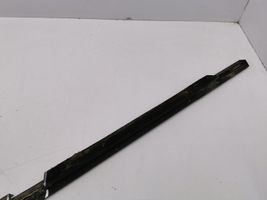 BMW X5 E53 Rear door glass trim molding 