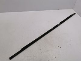 BMW X5 E53 Rear door glass trim molding 