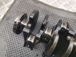 Ford Focus C-MAX Crankshaft 