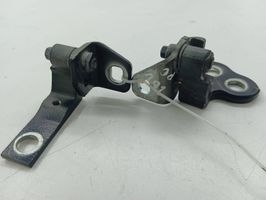 Ford C-MAX II Set di cerniere portiera anteriore 