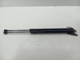 Seat Ateca Tailgate/trunk strut/damper 575827550B01S