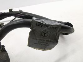 Mercedes-Benz B W245 Câble négatif masse batterie A1695400209