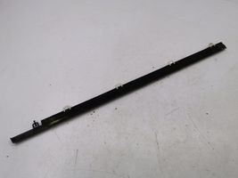 Honda Accord Rear door glass trim molding 