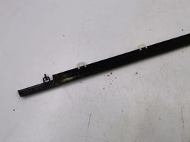 Honda Accord Rear door glass trim molding 