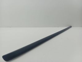 BMW X5 E70 Front door trim (molding) 