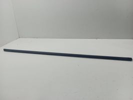 BMW X5 E70 Front door trim (molding) 