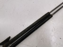 Toyota Corolla E120 E130 Jambe de force de hayon 6896002031