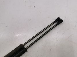 Toyota Corolla E120 E130 Jambe de force de hayon 6896002031