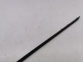 BMW X5 E70 Front door trim (molding) 