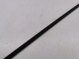 BMW X5 E70 Front door trim (molding) 