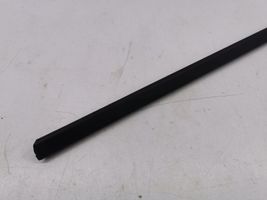 BMW X5 E70 Front door trim (molding) 